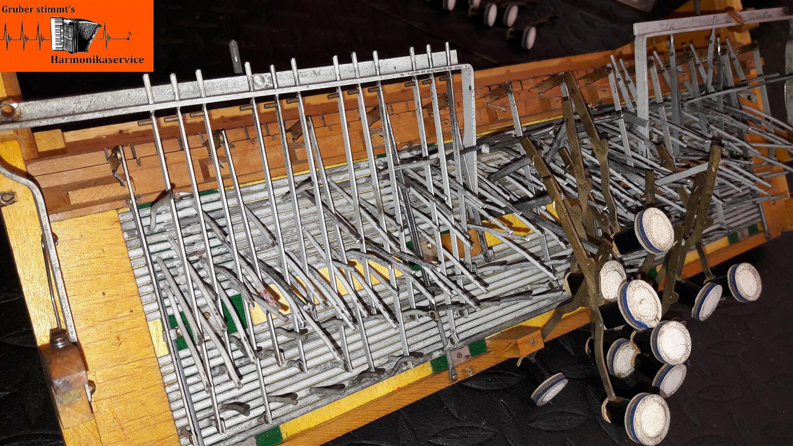 Startseite | Gruber Stimmt`s Harmonikaservice Gruber Bassmechanik Harmonikaservice Gruber stimmt`s